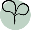 sprout icon